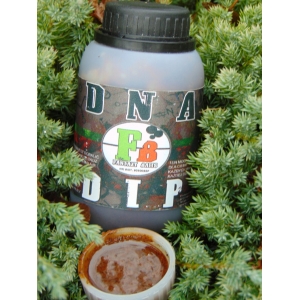 Dip DNA